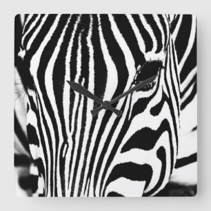 Zebra-Portrait schwarz-weiß Quadratische Wanduhr