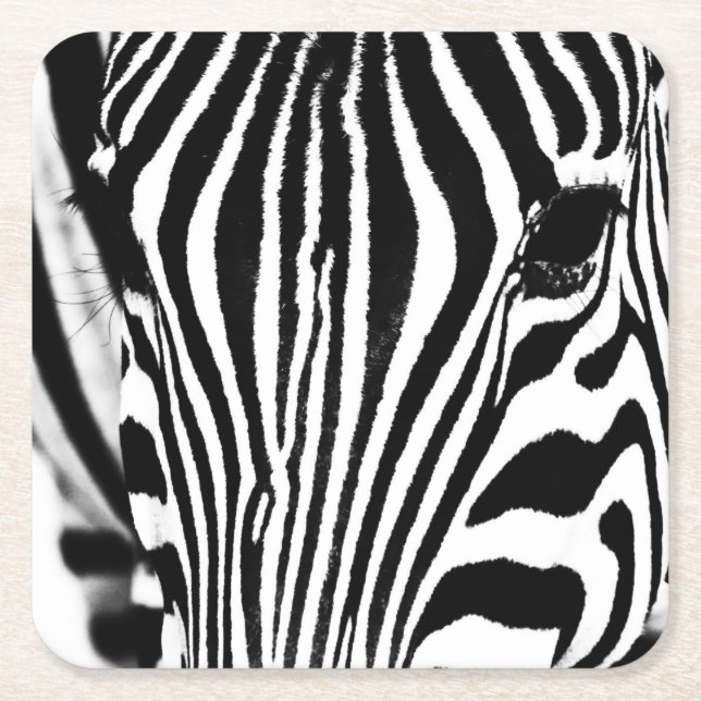 Zebra-Portrait schwarz-weiß Rechteckiger Pappuntersetzer (Vorderseite)