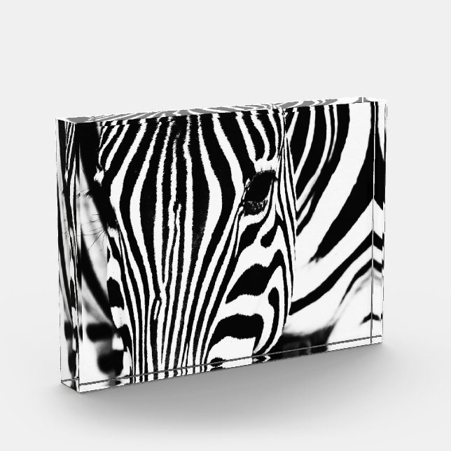 Zebra portrait Schwarzweiß-Foto Fotoblock (Links)