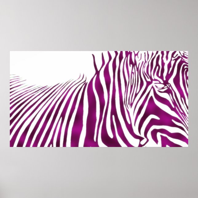 ZEBRA POSTER (Vorne)