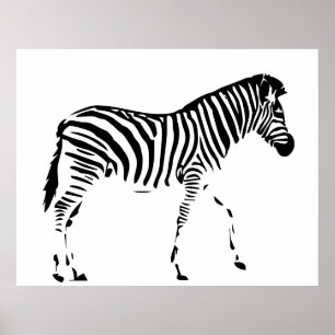Zebra Poster