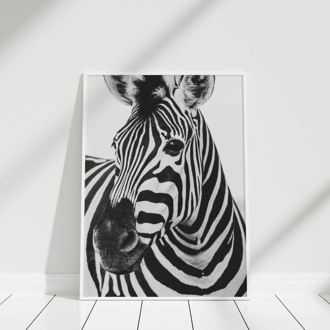 Zebra Poster (Black and White Zebra Poster in a white frame.)