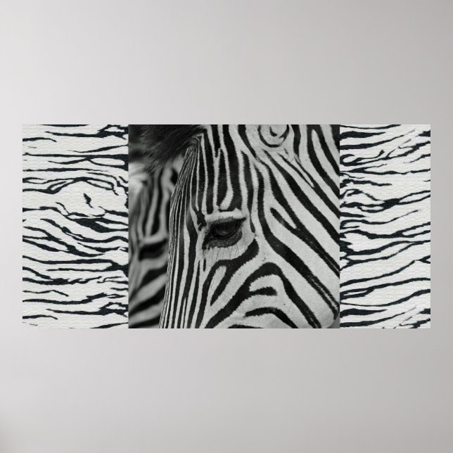 Zebra Poster Artwork Wand Mural (Vorne)