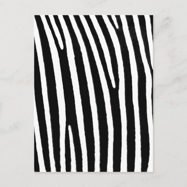 Zebra Postkarte (Vorderseite)