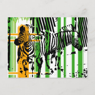 Zebra Postkarte
