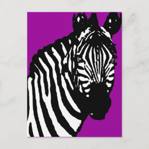 Zebra. Postkarte