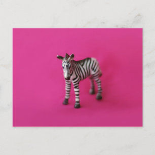 ZEBRA Postkarte