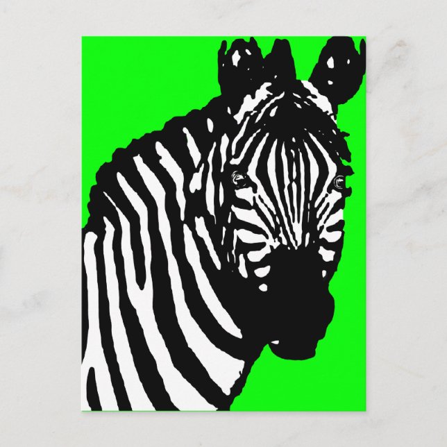 Zebra. Postkarte (Vorderseite)