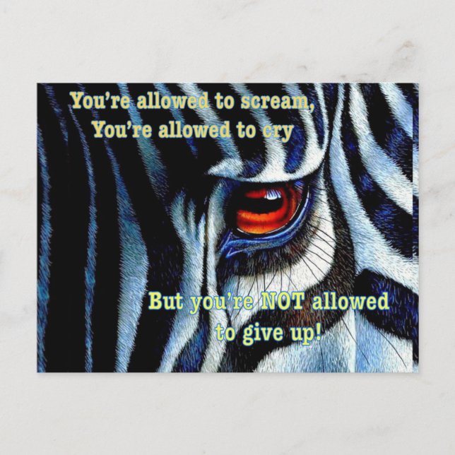 Zebra Postkarte (Vorderseite)