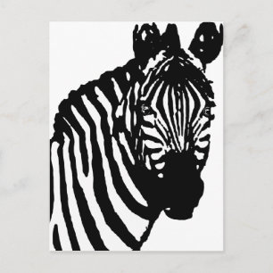 Zebra. Postkarte