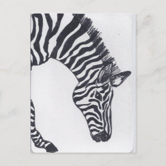 Zebra Postkarte