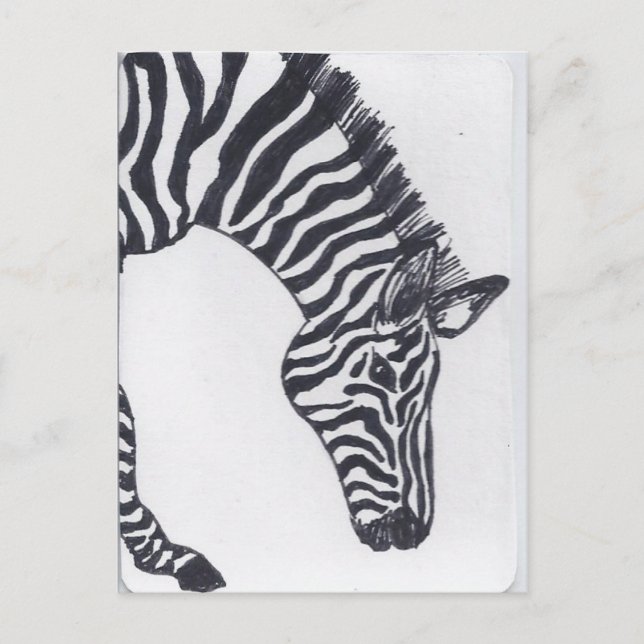Zebra Postkarte (Vorderseite)