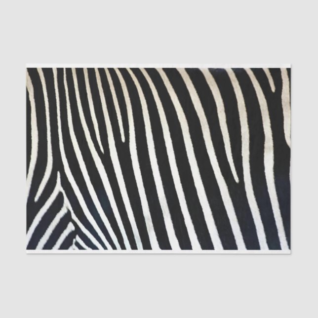 Zebra Print Black Fur Seidenpapier (Vorderseite)