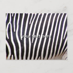 Zebra Print Postkarte