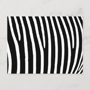 Zebra Print Postkarte