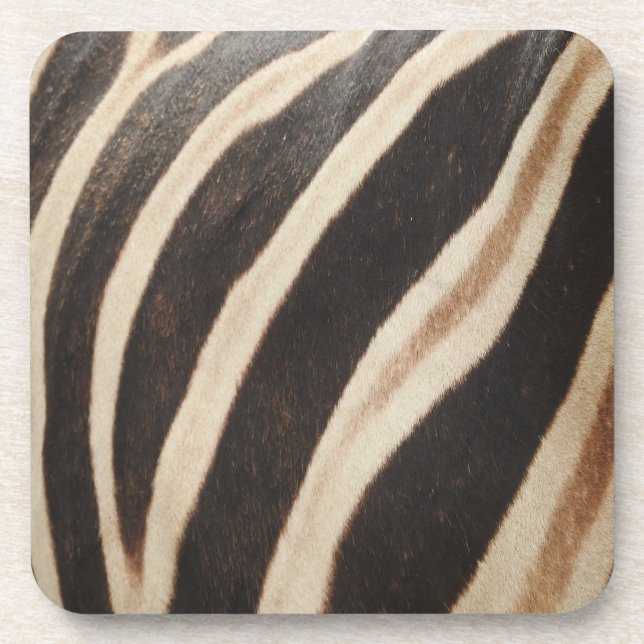 Zebra Print Untersetzer (Vorderseite)