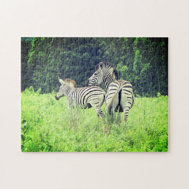 Zebra Puzzle (Horizontal)