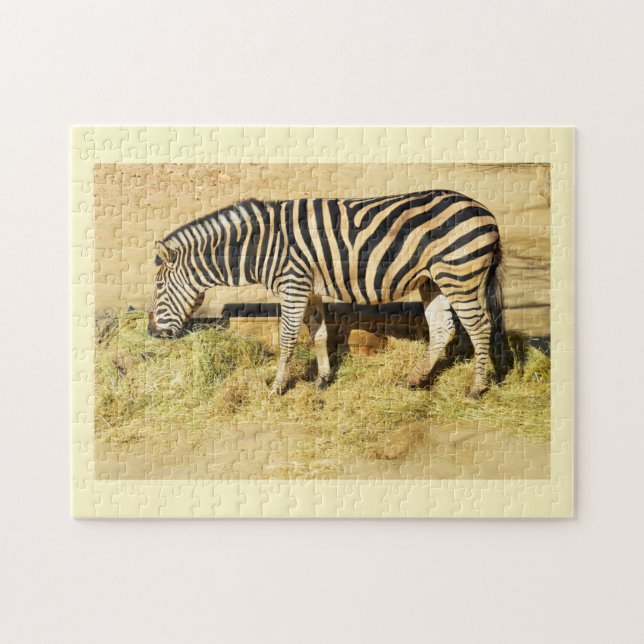 Zebra Puzzle (Horizontal)