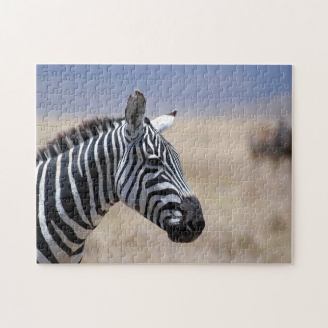 Zebra Puzzle (Horizontal)