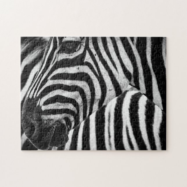 Zebra Puzzle (Horizontal)