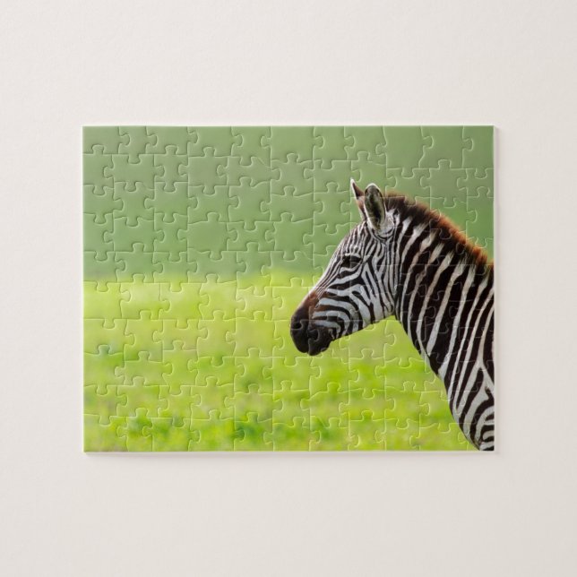 Zebra Puzzle (Horizontal)
