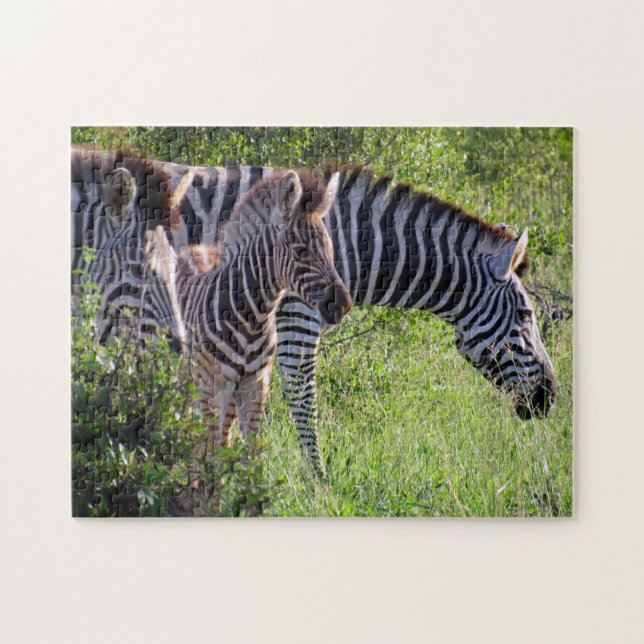 Zebra Puzzle (Horizontal)
