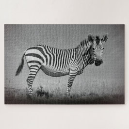 Zebra Puzzle