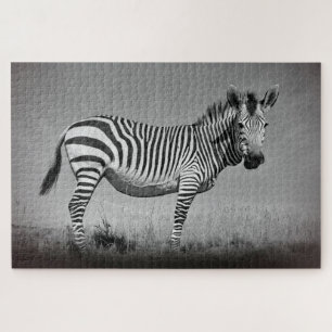 Zebra Puzzle