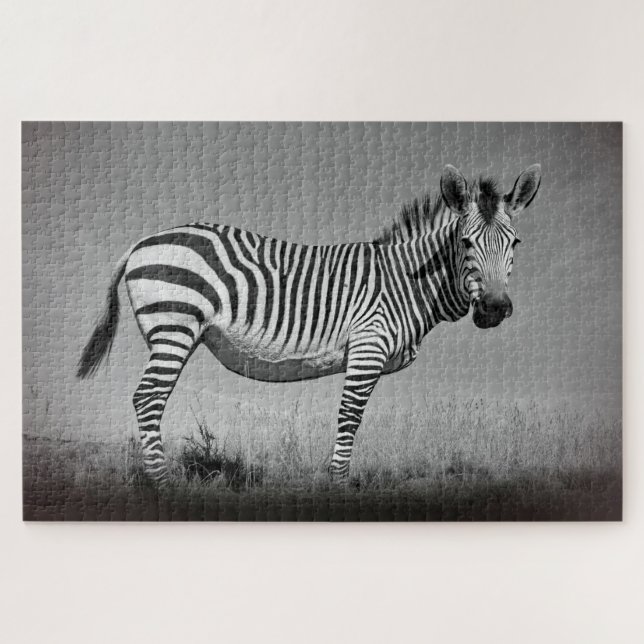 Zebra Puzzle (Horizontal)