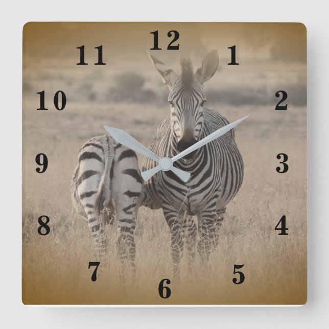 Zebra Quadratische Wanduhr (Vorderseite)