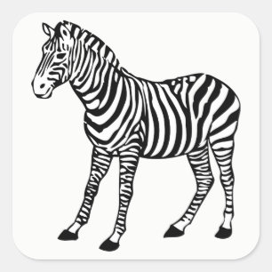 Zebra Quadratischer Aufkleber