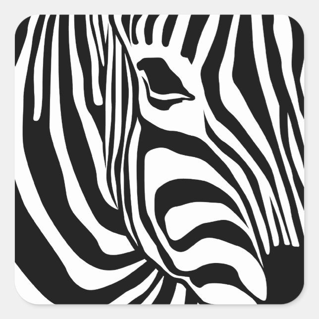 Zebra Quadratischer Aufkleber (Vorderseite)