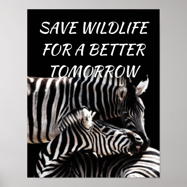 Zebra, Rett Wildnis für eine bessere Natur von mor Poster (Vorne)