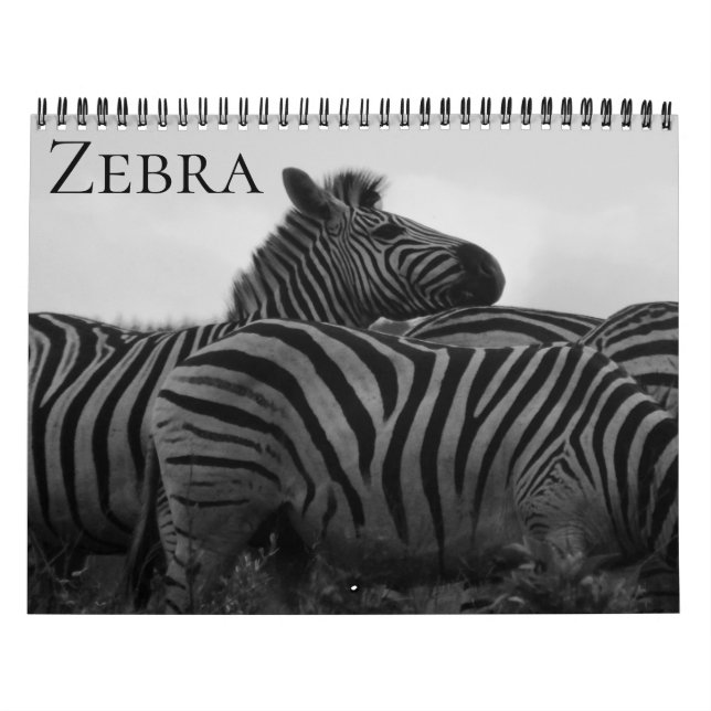 Zebra-Safari 2026 Kalender (Titelbild)