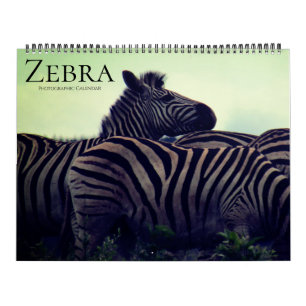 Zebra-Safari 2027 groß Kalender
