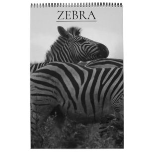 Zebra-Safari Kalender