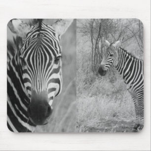 Zebra Safari Niedlich Afrikanisch Elegant Streifen Mousepad