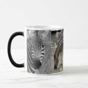 Zebra Safari Niedlich Afrikanisch Elegant Streifen Verwandlungstasse