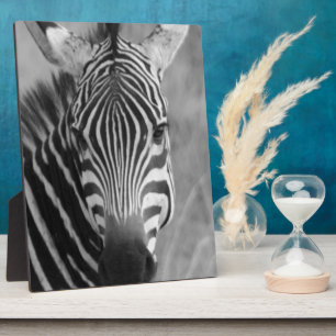 Zebra-Safari-niedliche afrikanische noble Streifen Fotoplatte