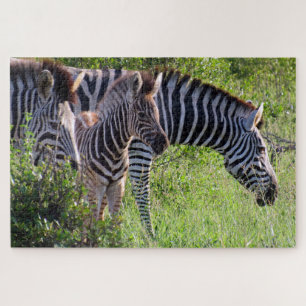 Zebra-Safari Puzzle