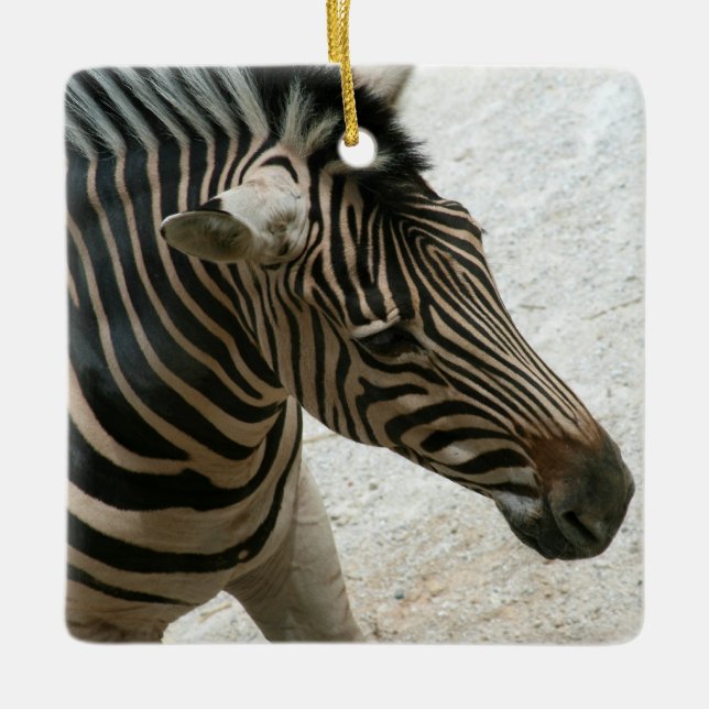 Zebra-Schmuck Keramikornament (Vorderseite)