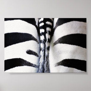 Zebra Schwanz Closeup Poster