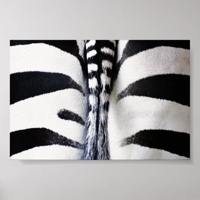 Zebra Schwanz Closeup Poster (Vorne)