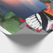Zebra-Schwanz-Schmetterling