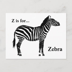 Zebra - Schwarz und Weiß Postkarte