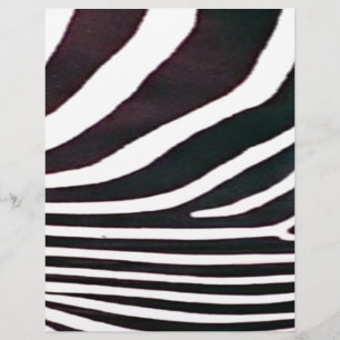 Zebra Schwarz und Weiß Streifen Print