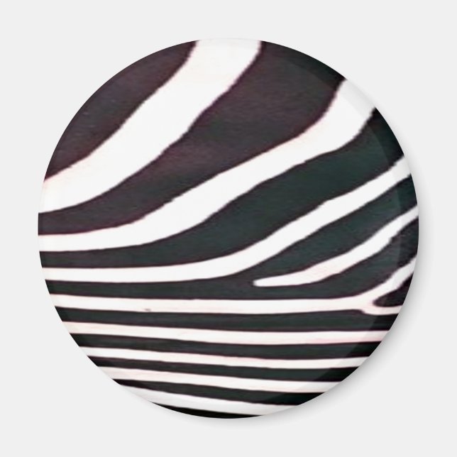 Zebra Schwarz und Weiß Streifen Print Magnet (Vorne)