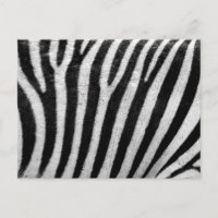 Zebra Schwarz und Weiß Strickhaut Textur Templat