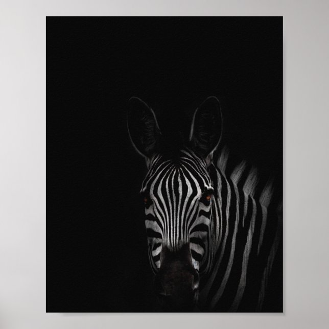 Zebra, Schwarz-Weiß-Foto Poster (Vorne)