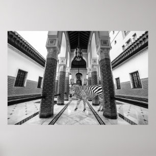 Zebra Schwarz-weiß Gebäude Landschaft Poster